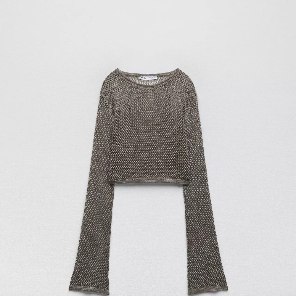 Zara Metallic crochet knit top